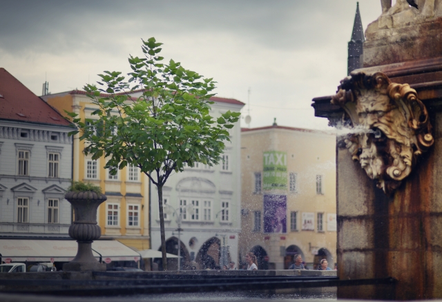 Budějovice vypráví