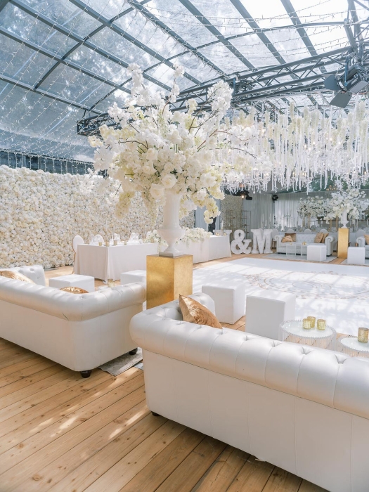 VIP svatba - Den jak sen